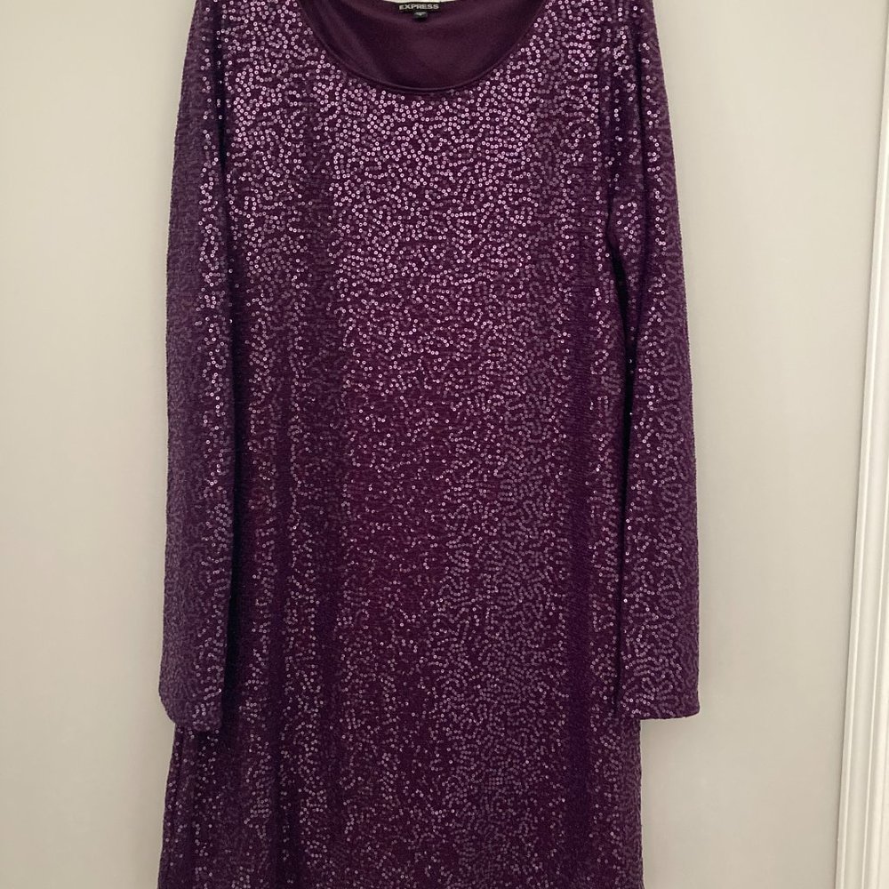 Express Long Sleeve Sequin Dress